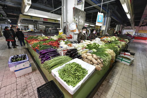 张家界食品蔬菜不涨价 粮油生鲜供应足