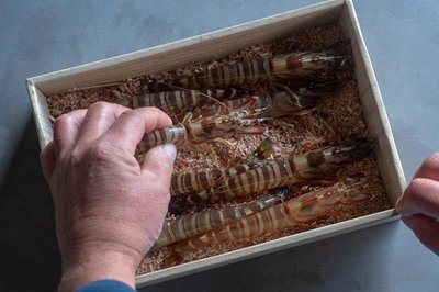【螃蟹龙虾盒】生鲜包装|龙虾纸盒包装|海产品礼盒包装 其他 木质盒-汇包装